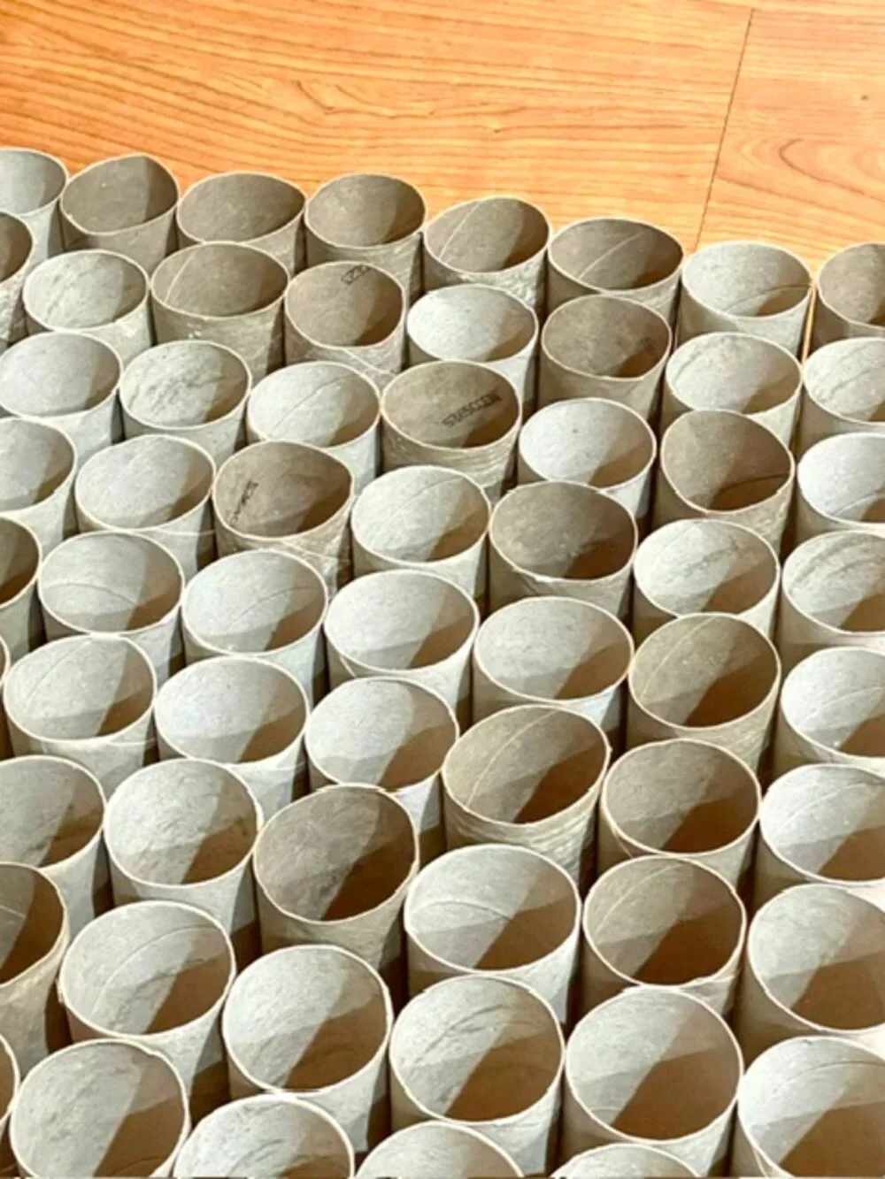 100 Toilet Paper Empty Rolls Cardboard Tubes Craft Art Project School Kid